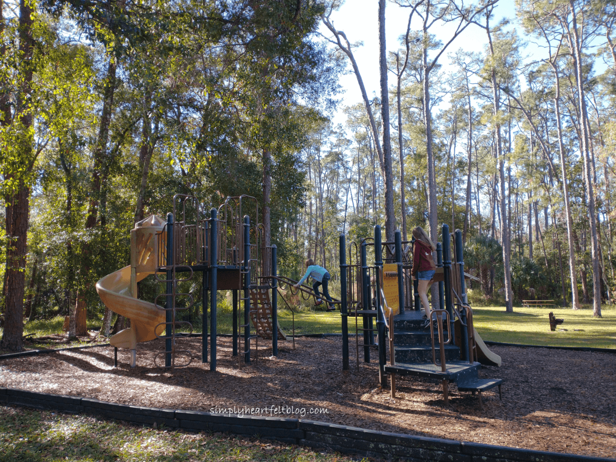 Highlands Hammock, One of FL's Oldest Parks - Simply Heartfelt